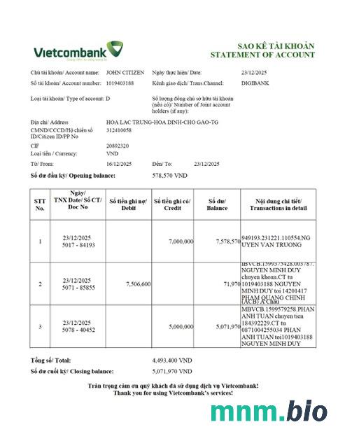 Vietnam Vietcombank wyciąg z konta Word i szablon PDF, 2 strony